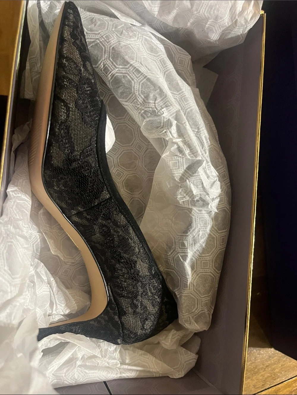 Louise et Cie Black Lace Pointed Toe Stiletto Pump